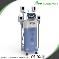 China Cryolipolysis Vaccum Body slimming machine cellulite removal belly treatment for sale