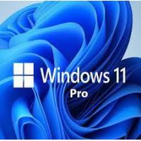 China Windows 11 Professional Best For Small Businesses Simple And Flexible Management factory