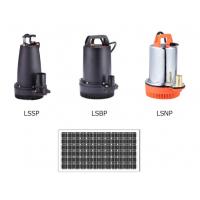 China Submersible Solar Submersible Water Pump For Agriculture , LSSP / LSBP / LSNP Series factory