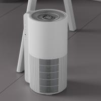 Quality Small Particulate Hepa Filter Air Purifier For Purification Disinfection for sale