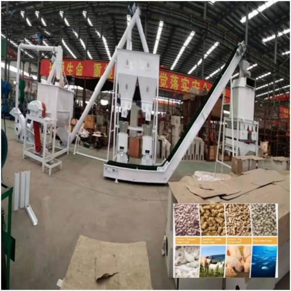 Quality Farm Feed Pellet Production Line 20ton/H Complete Cattle Feed Making Machine for sale
