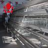 China A Type Layer Poultry Battery Cage Design Q235 Hot Dip Galvanized Steel Wire factory