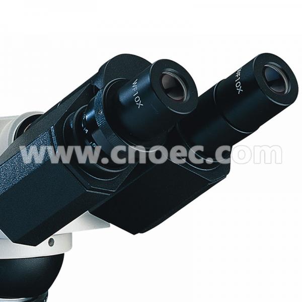 Quality WF10X - 18mm Hobby Infinity Biological Microscope Binocular Head Microscopes A11 for sale