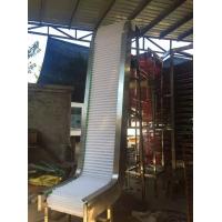 China Small Flexible Screw Conveyor Carbon Steel Screw Elevator Conveyor for sale