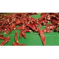 Quality Dehydrate Sweet Paprika Pepper Non Irradiated Dried Red Chili Pods 140 Atsa for sale