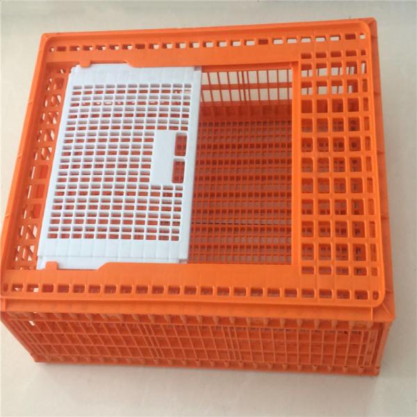 Quality Pure PE Poultry Carrier Crate Chicken Transport Cage Customized for sale