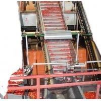 China 4000-6000bph Fruit Juice Filling Production Line For Apple Juice /Orange Juice / Tomato Paste factory