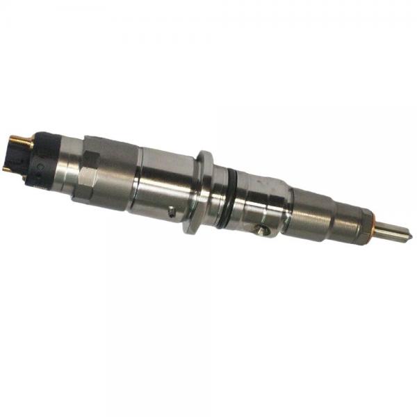 Quality CE Certification Spare Parts 0 445 120 060 Common Rail Injector 0445120060 for sale