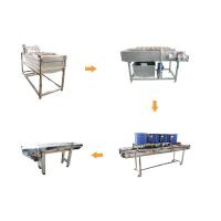 China Hot selling Fruit Prickly Pear Apple Cleaning Production Line by Huafood factory