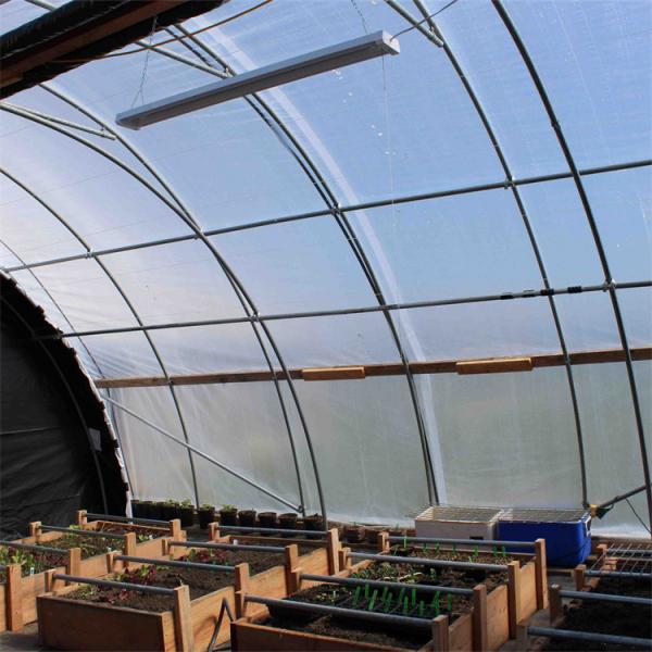Quality 100% Shading LED Grow Herb Greenhouse With Blackout System for sale