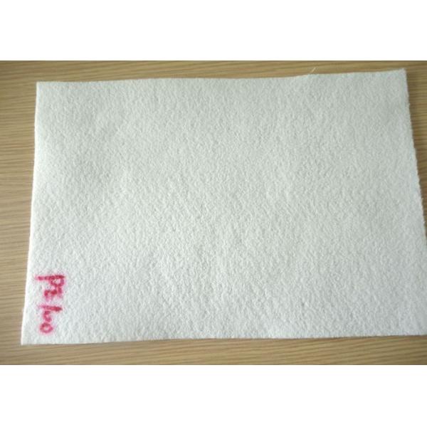 Quality 100 Micron Non Wowven PE Micron Filter Cloth / Filter Fabric For Industry Liquid Filter Bag for sale