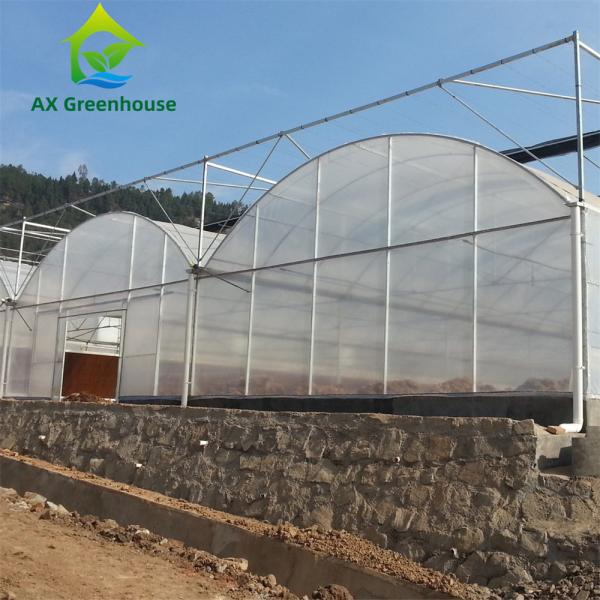 Quality Intelligent Film Serre Invernadero Greenhouse Multispan Tomato Greenhouse for sale