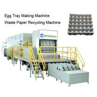 China Pulp Plastic Egg Tray Making Machine factory