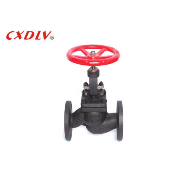 Quality Handwheel Operated Globe Valve Double Flange End Non Return CF8 CF3 WCB for sale