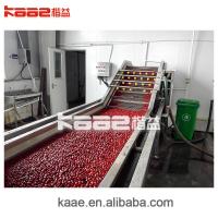 Quality Fully automatic Dates Processing Machine CE jujube deep processing production for sale