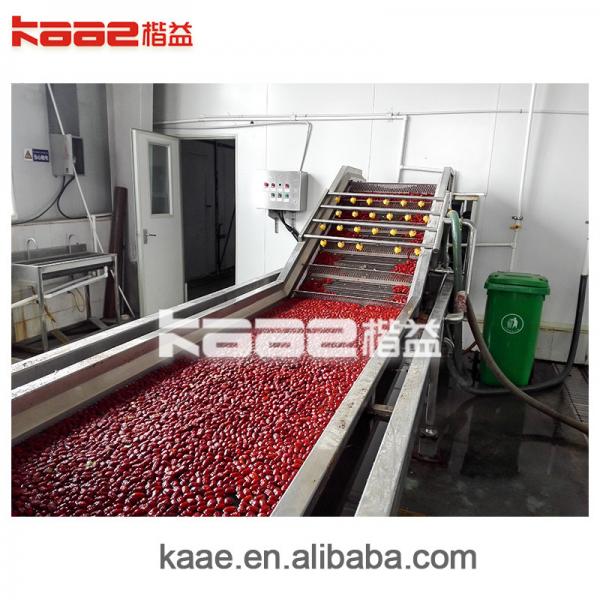 Quality Fully automatic Dates Processing Machine CE jujube deep processing production line for sale