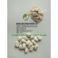 China White Kidney Bean Extract  3000 units/g, 10:1，phaseolin1-3%, Chinese manufacturer supply natural Delaying aging ingre factory