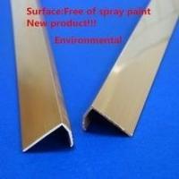Quality Termite - Proof Plastic Extrusion Profiles , Imitation Aluminum PVC Profile for sale