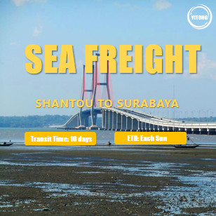 Quality International Sea Freight Shantou to Surabaya Indonesia for sale