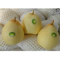 China 18kg   Fresh Chinese Ya Pears Fruit factory