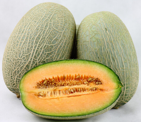 hami melon extract, cantaloupe extract, hami melon powder for