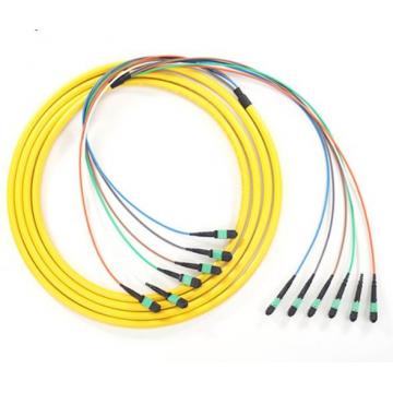 Quality PVC LSZH Jacket MPO MTP Patch Cord High Density 40G/100G Cabling Solutions for sale