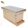 China Queen Rearing 19mm Beekeeping Wooden House 5 Frames Bee Nuc Box factory