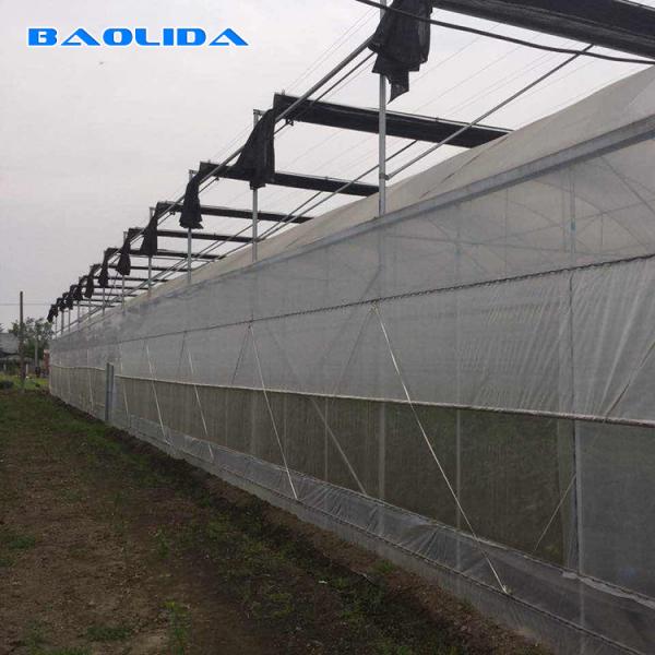 Quality Plastic Shed Multi Span Greenhouse / Agricultural Polythene Grow Tunnel for sale