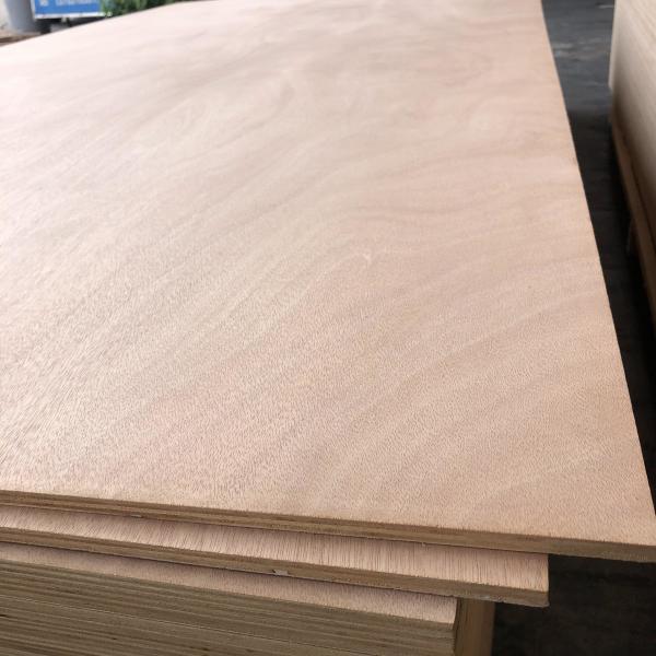 Quality Mildewproof Poplar Hardwood Veneer Plywood Harmless Practical for sale