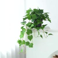 China Green Vine Plastic Outdoor Hanging Plants Fake Hanging Ferns Ivy Wall Decoration factory