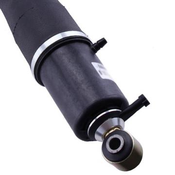 Quality GMC Chevy Cadillac Shock Absorber 22187156 Auto Shock Absorber TS16949 Certified for sale