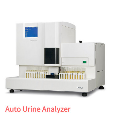 Quality Dirui Full Automatic Urine Analyzer Hospital Machine H-800 Urine Analysis for sale
