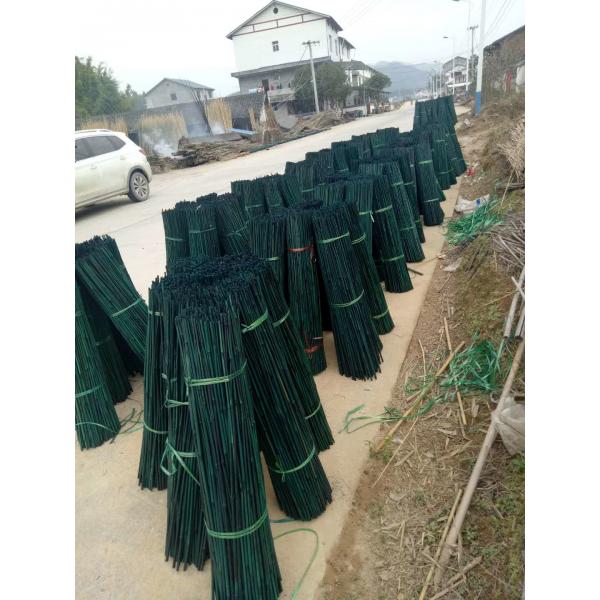 Quality 150cm Raw Bamboo Poles Painting Green Red Black Decorative Bamboo Garden Stakes for sale