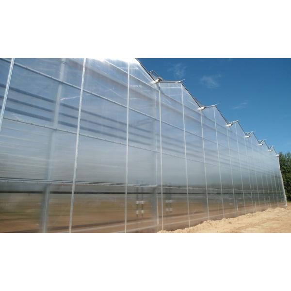 Quality OEM ODM Glass Enclosed Plant House Greenhouse Wind Resistance for sale