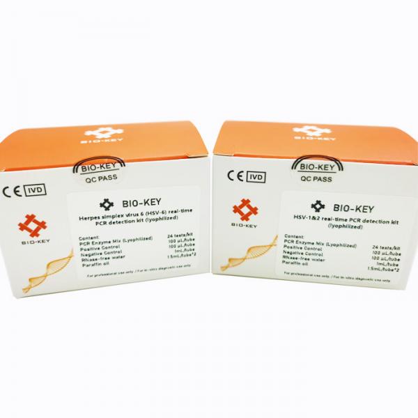 Quality Herpes Simplex Virus 6 HSV-6 96tests/Kit Real Time PCR Detection Kit Lyophilized for sale