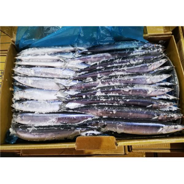 Quality 100% Net Weight #3 Frozen Pacific Saury For Canned Fish for sale