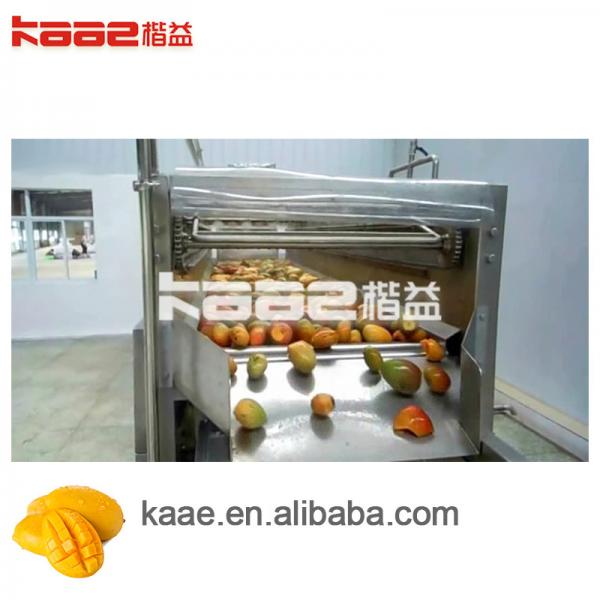 Quality Automatic Mango Juice Production Line SS304 All Fruit Juice Making Machine for sale