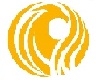China foshan phoenix building materials Co., Ltd. logo