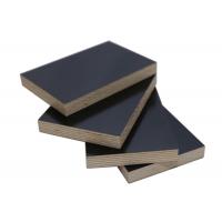 China Durable Laminate Faced Birch Plywood , Black Film Faced Plywood Sheets factory