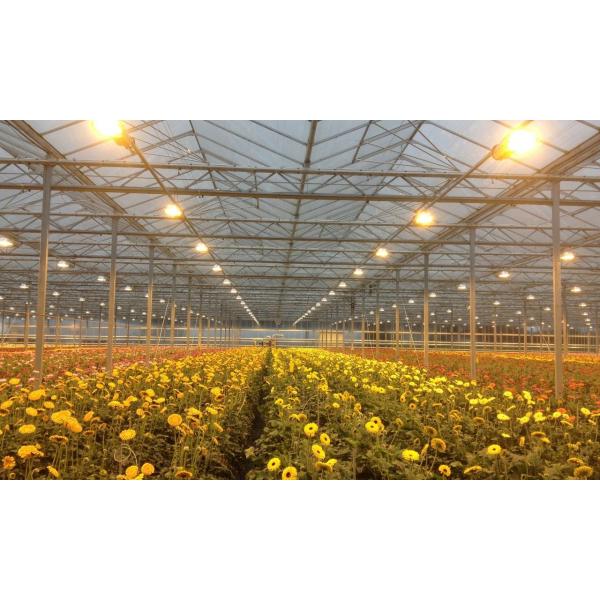 Quality Hot Galvanzied Steel Pipe Agricultural Venlo Glasshouse Turnkey Project for sale