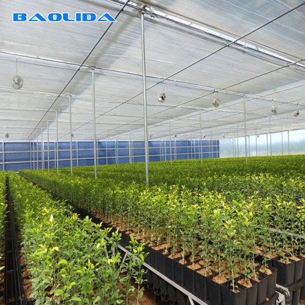 Quality Galvanized Steel Pipe Agricultural Plastic Film Multi Span Tunnel Greenhouse For Vegetable for sale