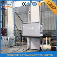 China Small Wheelchair Platform Lift 250kg Rated Loading With 2 Year Warranty factory