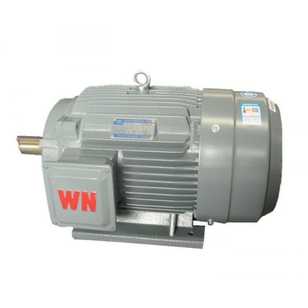 Quality Alternating Current 450V Three Phase Electric Motor for sale