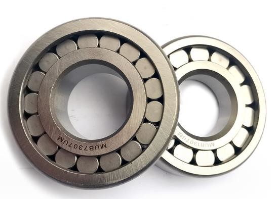 Quality Separable Cylindrical Roller Bearing P4 Precision Practical Double Row for sale
