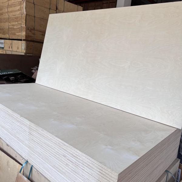 Quality Mildewproof Hardwood Faced Plywood For Furniture UV Resistant for sale