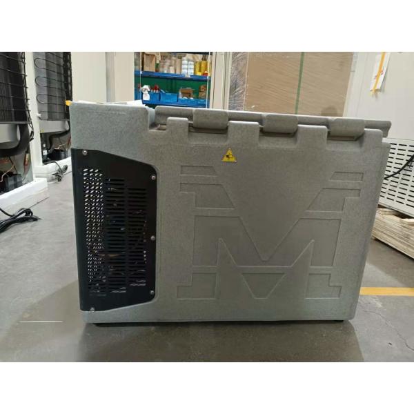 Quality 30 Liters Mini Capacity Portable Vaccine Cooler For Hospital for sale