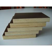 China film faced plywood/Cheap price construction playwood / high quality marine plywood price factory