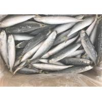 China Healthy Gutted Shape 60g 80g Frozen Sea Fishing Bait factory