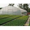China High Elasticity Polyethylene Film Greenhouse For Vegetables And Plants factory