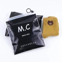 China Frosted Zip Lock Bags For Clothes Travel 4mil 6 Mil  10 Mil Sustainable PVC Plastic factory